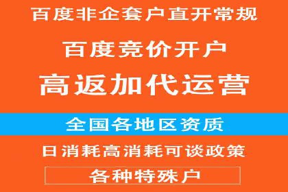 百度SEO推广公司案例精选：助力企业快速崛起